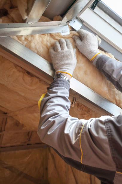 Best Attic Insulation Installation  in Norman, OK